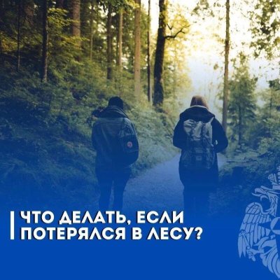 rssImage-3f88080440128565c3da84b7d824e5e8.jpeg