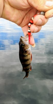 IMG_20260724_133106_556~2.jpg