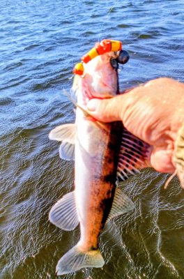 IMG_20260731_103120_315~3.jpg
