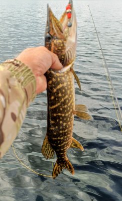 IMG_20260720_132815_524~2.jpg