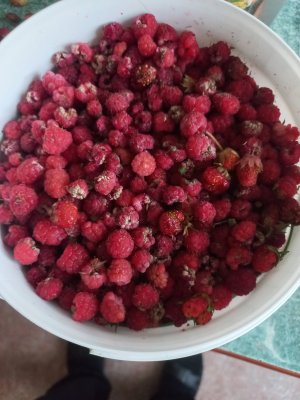20260705_204103.jpg