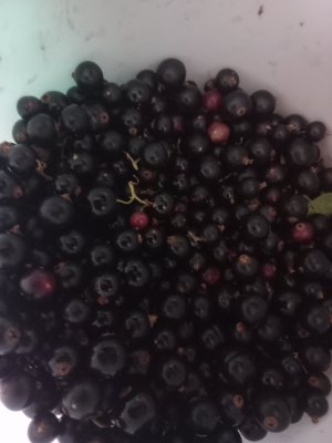 20260711_180753.jpg
