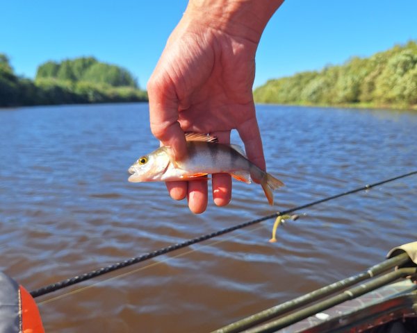20260718_162558.jpg