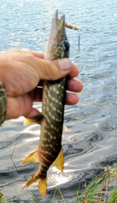 IMG_20260719_165308_329~2.jpg