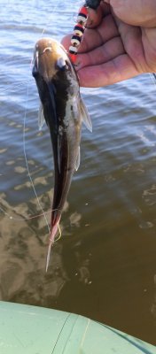 IMG_20260731_154740_753~3.jpg