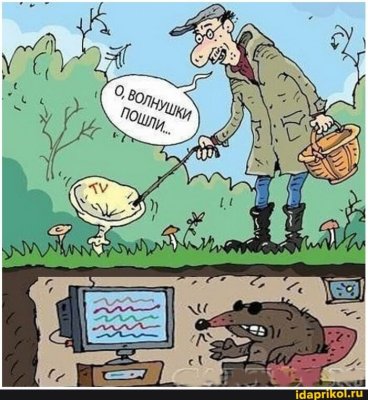 40c20f03049c8c80f976e69972994fefc650bf77960bdd9fa954bad05700fce8_1.jpg.jpg