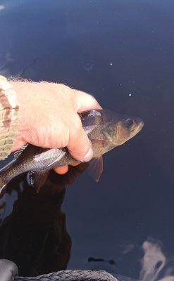 IMG_20260720_145740_998~2.jpg