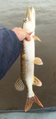 IMG_20260708_174012_382~2.jpg