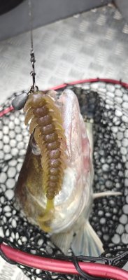 IMG20260720195857.jpg