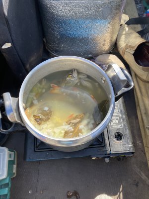 IMG_0274.jpeg