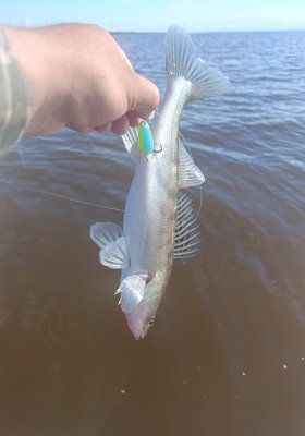 IMG_20260705_082616.jpg
