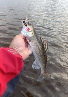 IMG_20260707_003913.jpg
