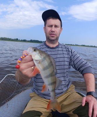 IMG_20260712_210614.jpg