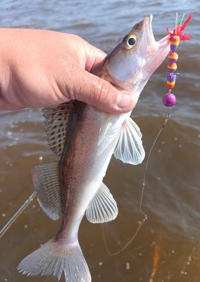 IMG_20260712_213309.jpg