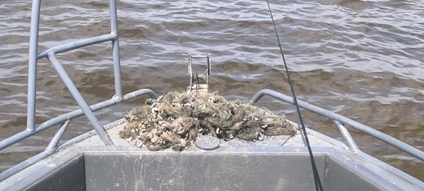 IMG_20260715_120849.jpg