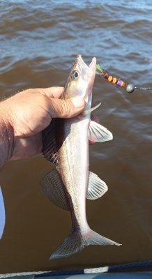 IMG_20260718_223321_441.jpg
