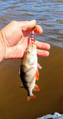 IMG_20260718_223321_583.jpg