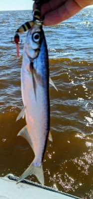 IMG_20260718_223321_661.jpg