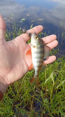 IMG_20260724_170319.jpg