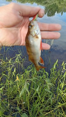 IMG_20260724_170509.jpg