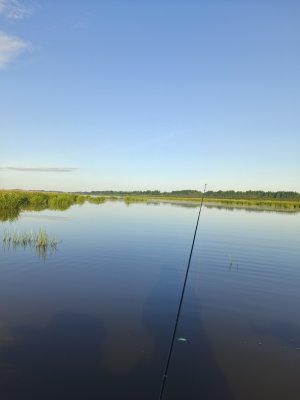 IMG_20260725_063212_514.jpg