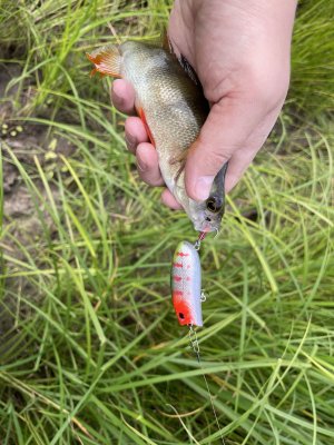 IMG_2592.jpeg