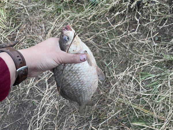 IMG_2599.jpeg