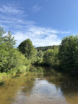 IMG_6092.jpeg