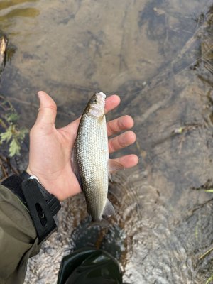 IMG_6116.jpeg