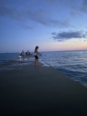 IMG_7483.thumb.jpeg.c724fd5d9e16d066243536f3387d26fd.jpeg