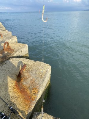 IMG_7503.thumb.jpeg.0f2f88d04562f27ad34b0b044c53df0d.jpeg