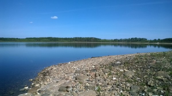 WP_20160507_004.jpg