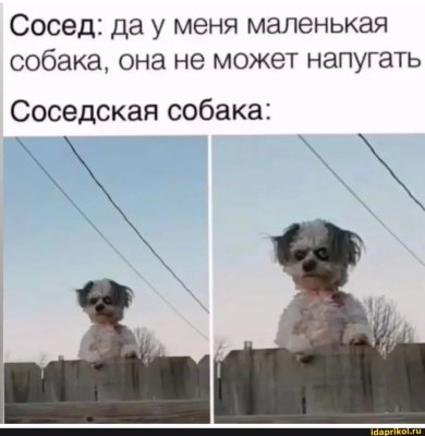 f4ed0fcc7d13afe3d8ee86909ddee7b7ec7b3578d556435552ea04112a2b22b9_1.jpg.jpg