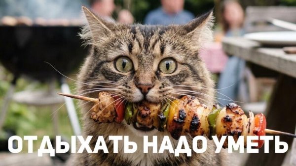 rssImage-06e645f6becc1bf0469fb719396b728d.jpeg