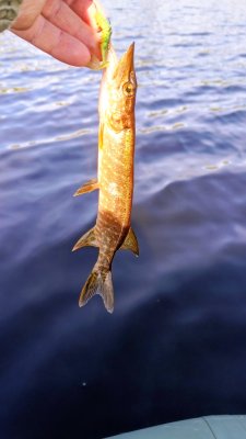 IMG_20260803_174401_469~2.jpg