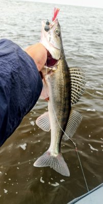 IMG_20260802_074608_033~2.jpg