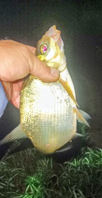 IMG_20260831_011833_797~2.jpg