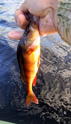 IMG_20260813_180311_509~2.jpg