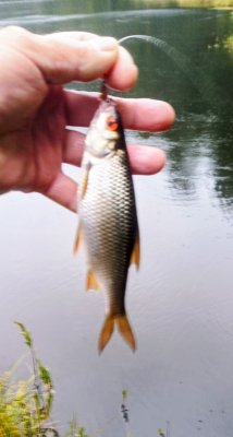 IMG_20260823_175739_041~2.jpg