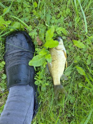20260731_094023.jpg