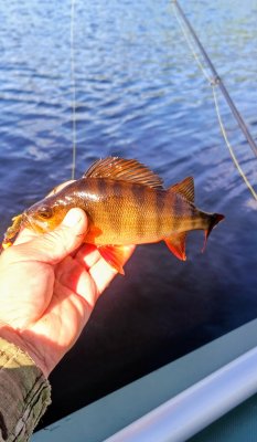IMG_20260810_164320_866~2.jpg