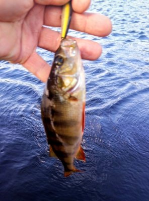 IMG_20260810_164841_152~2.jpg