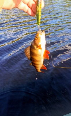 IMG_20260810_163932_074~2.jpg