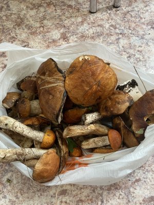IMG_0370.jpeg
