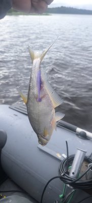 IMG_20260723_084326.jpg