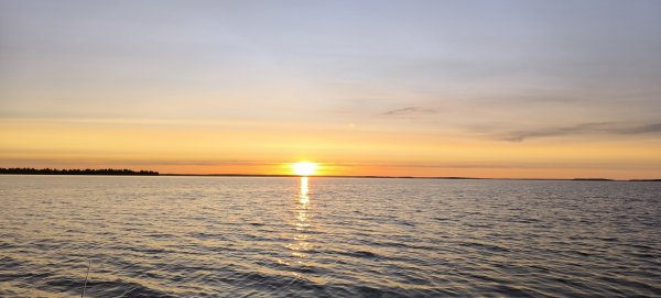IMG_20260724_212146.jpg
