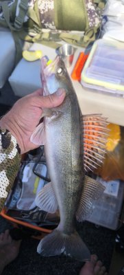 IMG_20260801_092835.jpg