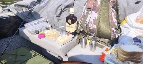 IMG_20260801_095956.jpg