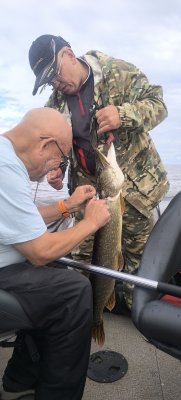 IMG_20260808_154206.jpg