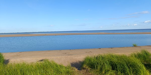 IMG_20260809_233658.jpg